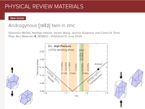 The androgynous twins of zinc